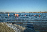 Zdjęcie:  style=