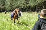 Zdjęcie:  style=