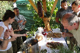 Zdjęcie:  style=