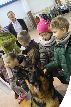 Zdjęcie:  style=