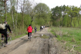 Zdjęcie:  style=