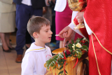 Zdjęcie:  style=
