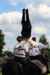 Zdjęcie:  style=