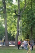 Zdjęcie:  style=