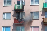 Zdjęcie:  style=
