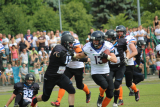 Zdjęcie:  style=