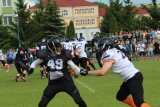 Zdjęcie:  style=