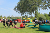 Zdjęcie:  style=