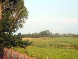 Zdjęcie:  style=