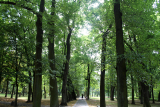 Zdjęcie:  style=