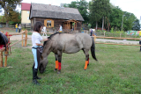 Zdjęcie:  style=