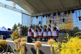 Zdjęcie:  style=