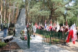 Zdjęcie:  style=