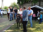 Zdjęcie:  style=