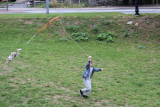 Zdjęcie:  style=