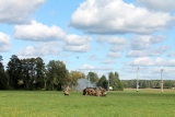 Zdjęcie:  style=