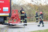 Zdjęcie:  style=
