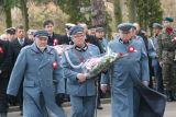 Zdjęcie:  style=