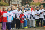 Zdjęcie:  style=