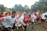Zdjęcie:  style=
