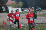 Zdjęcie:  style=