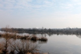 Zdjęcie:  style=