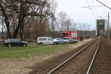 Zdjęcie:  style=