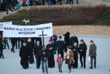 Zdjęcie:  style=