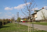 Zdjęcie:  style=
