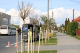 Zdjęcie:  style=
