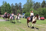 Zdjęcie:  style=