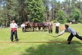 Zdjęcie:  style=