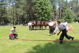 Zdjęcie:  style=