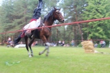 Zdjęcie:  style=
