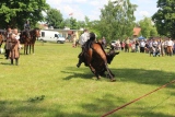 Zdjęcie:  style=