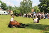 Zdjęcie:  style=