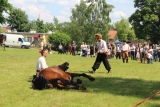 Zdjęcie:  style=