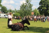 Zdjęcie:  style=