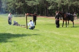 Zdjęcie:  style=