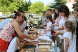 Zdjęcie:  style=